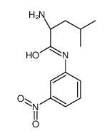 (2S)-2-amino-4-methyl-N-(3-nitrophenyl)pentanamide Structure