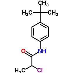 N-(4-tert-butylphenyl)-2-chloropropanamide图片