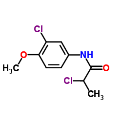 2-Chloro-N-(3-chloro-4-methoxyphenyl)propanamide Structure