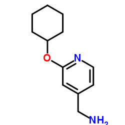 [2-(cyclohexyloxy)pyridin-4-yl]methylamine picture