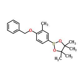 4-苄氧基-3-甲基苯硼酸频呢醇酯图片