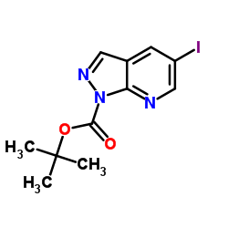 2-Methyl-2-propanyl 5-iodo-1H-pyrazolo[3,4-b]pyridine-1-carboxylate结构式