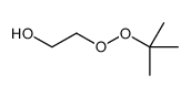 2-[(1,1-dimethylethyl)dioxy]ethanol picture