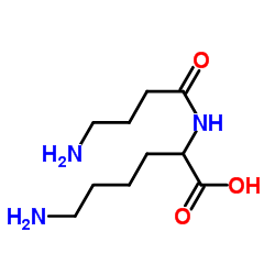 gamma-Aminobutyryl-lysine结构式