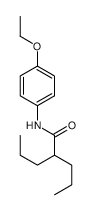 N-(4-ethoxyphenyl)-2-propylpentanamide Structure