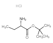 H-Abu-OtBu HCl picture