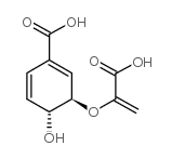 Chorismic acid, from Enterobacter aerogenes picture