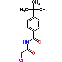 4-tert-butyl-N-(chloroacetyl)benzamide picture