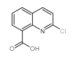 2-氯喹啉-8-羧酸图片