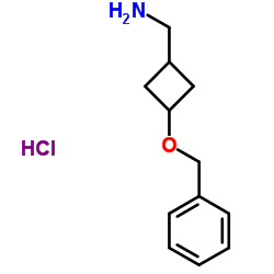 1-[3-(Benzyloxy)cyclobutyl]methanamine hydrochloride (1:1) Structure