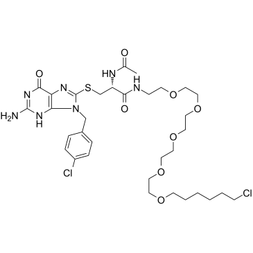 Halo PROTAC 1 structure