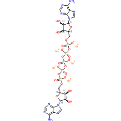 Diadenosine pentaphosphate pentasodium picture