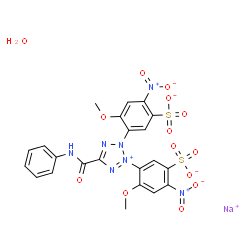 XTT (sodium salt hydrate) structure