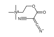 2,2-dicyano-1-[2-(trimethylazaniumyl)ethoxy]ethenolate Structure