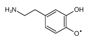 88466-19-7 structure