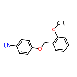 919007-90-2 structure