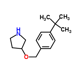 3-{[4-(2-Methyl-2-propanyl)benzyl]oxy}pyrrolidine结构式