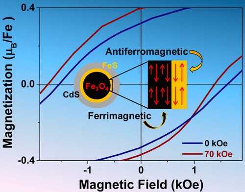 10.1021/acsnano.7b00711 picture
