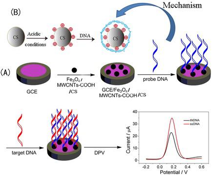10.1002/elan.201700801图片