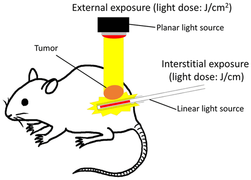 10.1021/acs.molpharmaceut.8b00002 picture