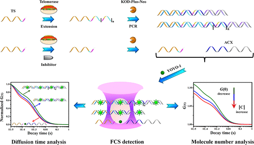 10.1021/acs.analchem.7b04256图片