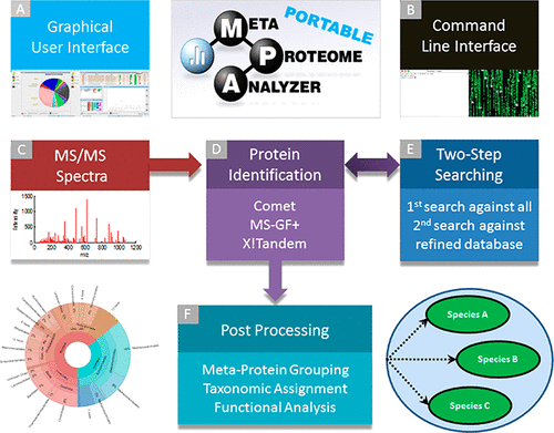 10.1021/acs.analchem.7b03544图片