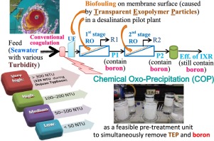 10.1016/j.jtice.2018.02.012 picture