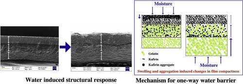 10.1016/j.foodhyd.2018.02.044 picture