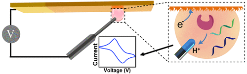 10.1021/acssensors.7b00868 picture