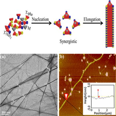 10.1002/pola.28954图片