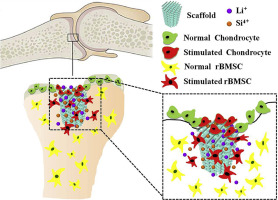 10.1016/j.biomaterials.2018.04.005图片