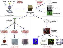 10.1016/j.biomaterials.2018.04.004图片