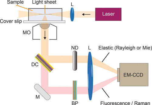 10.1021/acs.analchem.7b02528图片