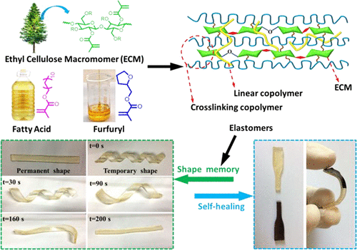 10.1021/acssuschemeng.8b00329图片