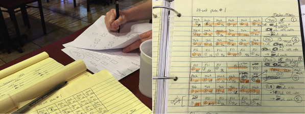 10.1016/j.stem.2017.05.010 picture