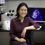 10.1016/j.stem.2017.05.012 picture