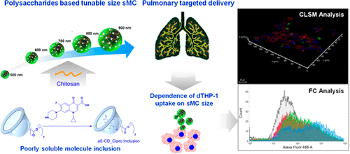 10.1021/acs.molpharmaceut.7b00967 picture