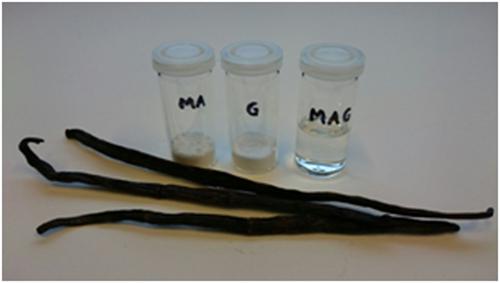 10.1002/ffj.3425图片