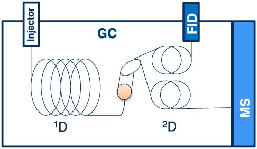 10.1002/ffj.3416图片