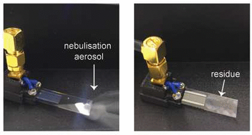 10.1021/acs.analchem.8b00466图片