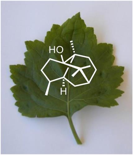 10.1002/ffj.3418图片
