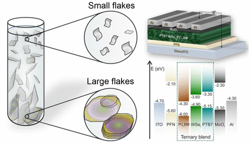 10.1021/acsnano.7b00323 picture
