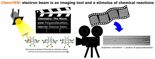 10.1021/acsnano.6b08228 picture