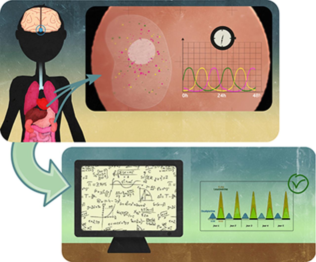 10.1124/pr.116.013441 picture