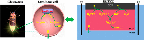 10.1021/acs.analchem.8b00165图片