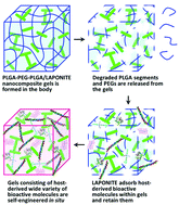 10.1039/C7BM01167A picture