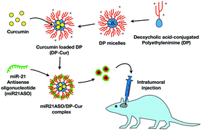 10.1039/C7BM01088E picture