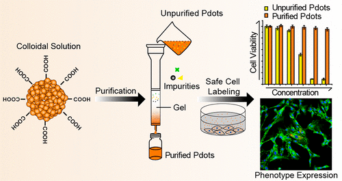 10.1021/acs.analchem.8b00095图片