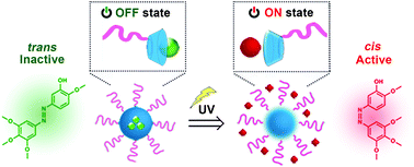 10.1039/C7BM01053B picture