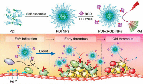 10.1021/acsnano.7b00594图片